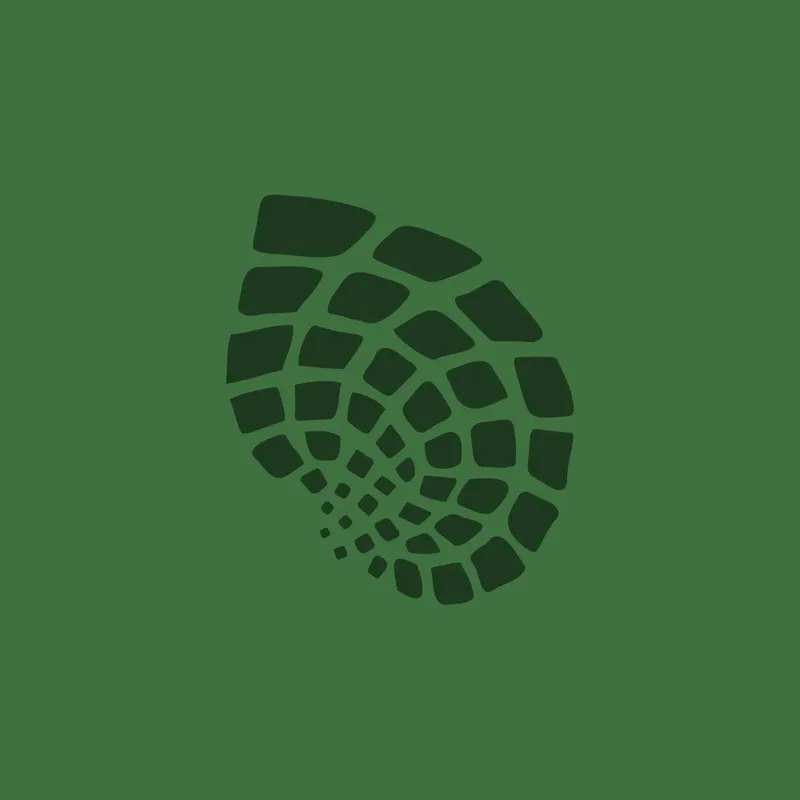 Iroko Brand Identity Design gallery