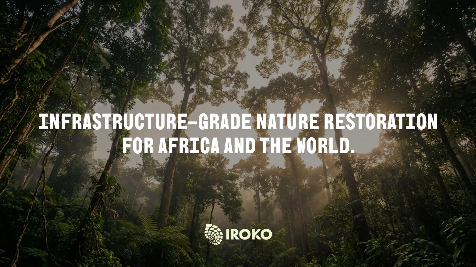 Iroko core strategic direction