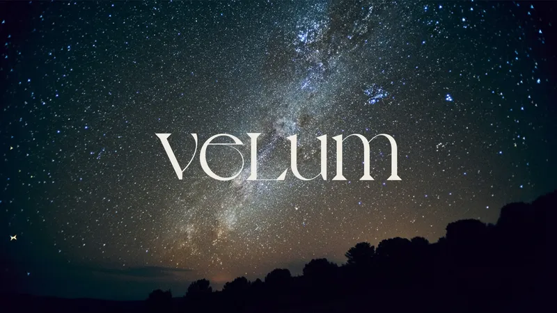 Velum Coaching